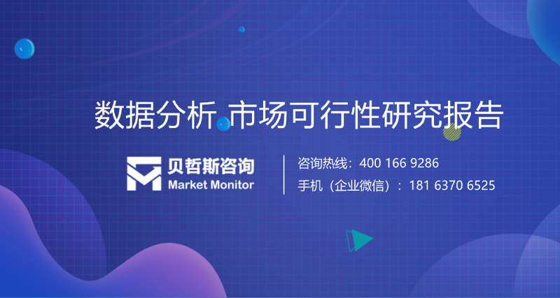 上海信息咨询行业：透视数据的智慧之光