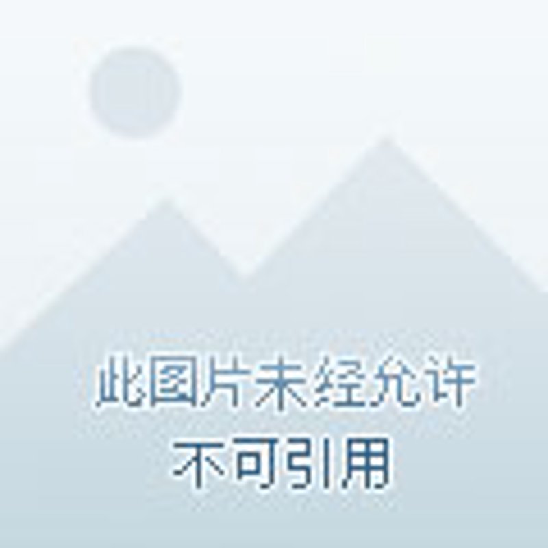 市场调研公司：洞察商业未来之眼